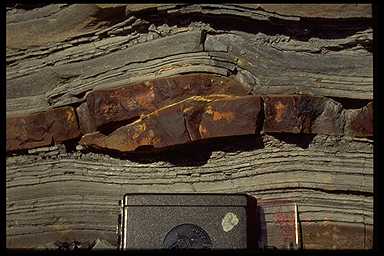 thrust fault