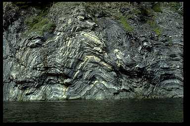 Upright anticline, Middle Arm, Bay of Islands, Newfoundland