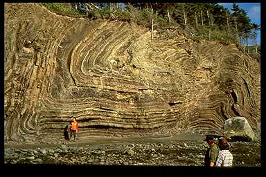 Inclined synform, Black Point, Newfoundland