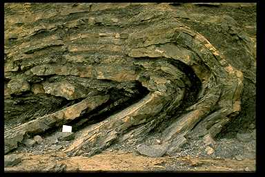 Recumbent fold, Port au Port Peninsula, Newfoundland